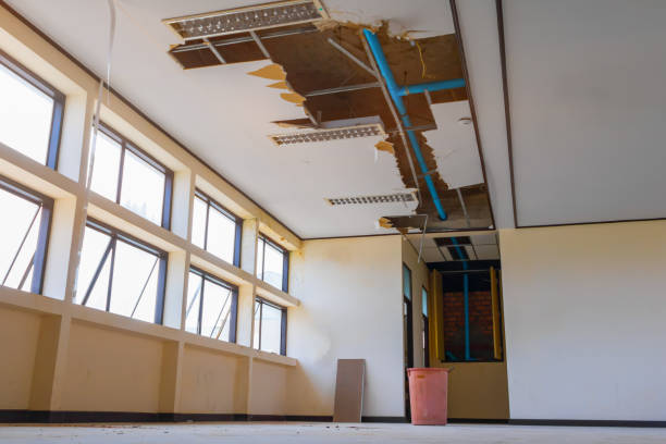 Best 24/7 water damage repair  in Colon, MI
