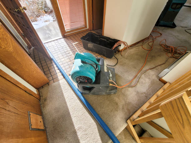 Best Water damage contractors near me  in Colon, MI