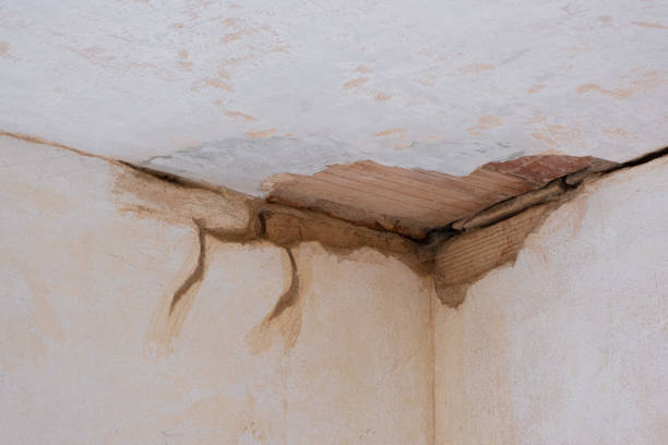 Best Water damage restoration mold remediation  in Colon, MI