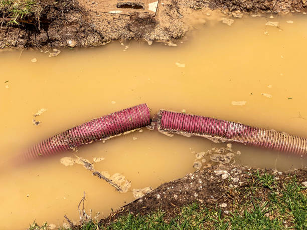 Sewage cleanup and water damage restoration in MI