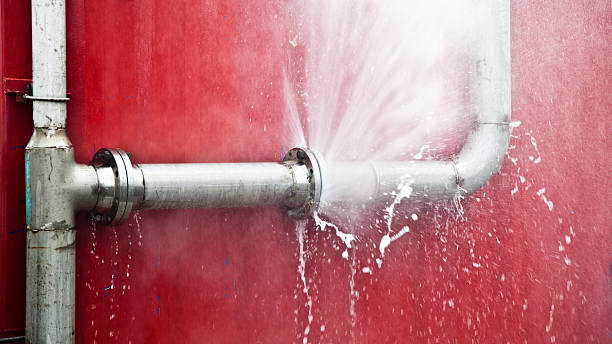 Best Emergency water damage restoration  in Colon, MI