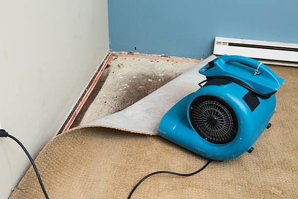 Best Water damage restoration near me  in Colon, MI